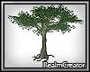 |RC| Big Tree
