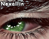 Green R