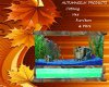 Autumns:Stone fish tank