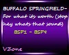 B.SPRINGFIELD-Stop hey