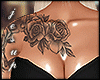 !!~ Eden Rework Top