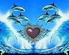 dolphins love