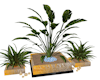 deco plants