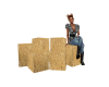 Hay Stack w/Poses