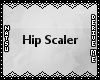 {3D} Hip Scaler