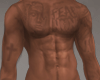 Terre Skin Tats