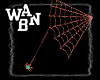 Spiders Web 2