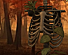Skeleton + Plants