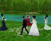 wedding petalas