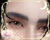 !A| Asian Grey
