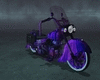 Purple Passion Bike