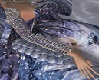 Mugler left glove