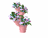🌈 Summer Flower Pot