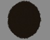 ~My The Gold Strut Rug