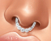 Amore   Septum ✈ Icy