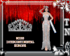 MIC Europe Sash