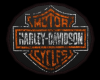 2013 Harley Rug IV