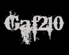 Gaf210 3D