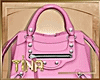 ✨ Iggy Pink Bag