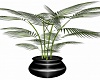 Potted Plant V2