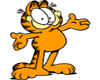 B* Garfield Cartoon Cat