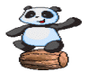 panda on barrel