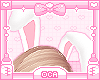 ♡ Bunny Ears v2