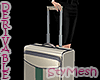 Suitcase Handheld & Pose