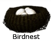 birdnest