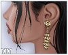 mm. Gold Earrings