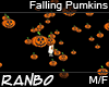 *R* Falling Pumpkins M/F