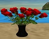 vase red roses