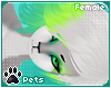 [Pets] Vixen | hair v6