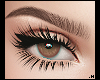 Zell Lashes \ Falsies
