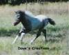 Dove's Long Ponytails