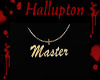 Master necklace(gold)