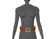 PW/Designer Belt