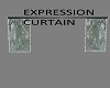 EXPRESSION CURTAIN