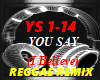 YOU SAY, REGGAE, RMX