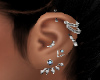 Silver Earings