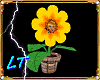 LT Flower Pot Avatar