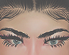 brows