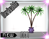 [CCQ]B:Palm Trees