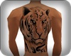 back tigre tatto