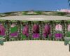 Wedding Plazza
