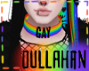 Gay| Alt. Pride Collar