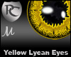 Yellow Lycan Eyes