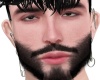 Mh. Alonso Not.Beard