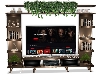 Bookcase TV
