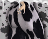 I go moo!